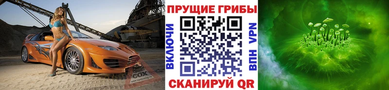 Галлюциногенные грибы мухоморы Каменногорск